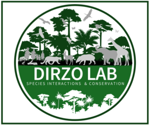 Dirzo Lab Logo