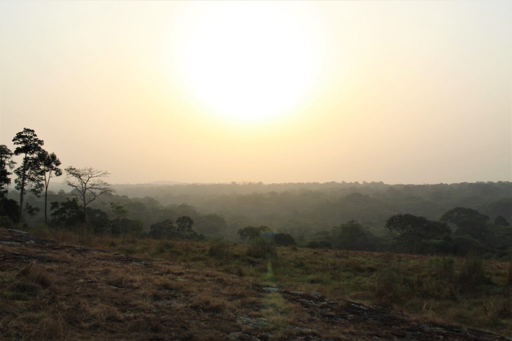 Sunset over the Dja Biosphere Reserve, Cameroon